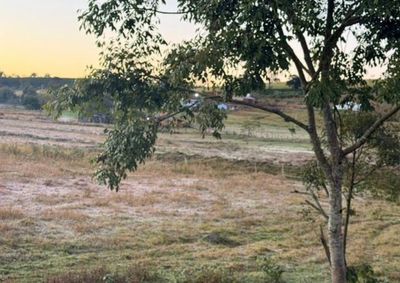 Aviso prev&ecirc; temperaturas baixas durante a madrugada e manh&atilde; de ter&ccedil;a-feira