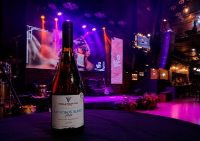 Evento em Esp&iacute;rito Santo do Pinhal re&uacute;ne vin&iacute;colas, produtores rurais, chefs e atra&ccedil;&otilde;es culturais em celebra&ccedil;&atilde;o &agrave; enogastronomia e ao turismo regional