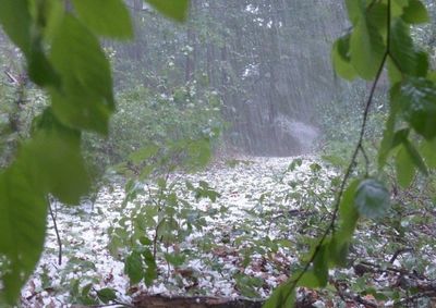 Alerta do Instituto Nacional de Meteorologia coloca a cidade em &ldquo;Perigo Potencial&rdquo;
