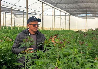 Proposta de autoria do vereador Carlos Roberto da Silva reconhece atua&ccedil;&atilde;o no setor agr&iacute;cola e dedica&ccedil;&atilde;o comunit&aacute;ria na cidade