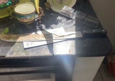 Tr&ecirc;s homens armados com facas entraram na propriedade e renderam uma jovem
