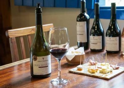 Vin&iacute;cola de Andradas ter&aacute; como atra&ccedil;&otilde;es vinhos, gastronomia e m&uacute;sica ao vivo