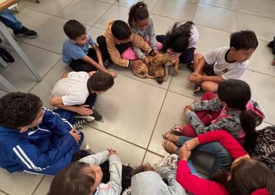 Iniciativa busca conscientizar estudantes sobre guarda respons&aacute;vel, bem-estar dos animais e preven&ccedil;&atilde;o de maus-tratos e do abandono