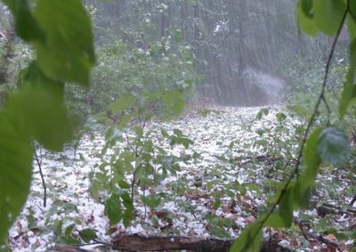 Avisos do Inmet apontam risco de chuva intensa e classificam a situa&ccedil;&atilde;o como &ldquo;Perigo&rdquo;