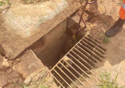 Animal de porte m&eacute;dio foi encontrado em estrutura protegida por grade no bairro Veredas da Serra