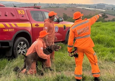 Atividade foi realizada com a participa&ccedil;&atilde;o de tr&ecirc;s c&atilde;es e seus condutores