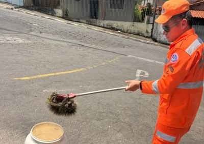Morador registrou o momento em que o animal foi encontrado em uma &aacute;rvore
