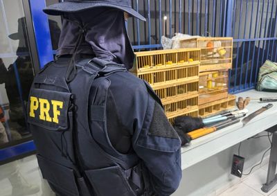 Tr&ecirc;s homens foram autuados ap&oacute;s agentes localizarem animais e equipamentos utilizados para ca&ccedil;a e manejo de p&aacute;ssaros