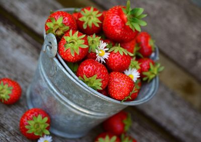 &ldquo;Morango F&ecirc;nix&rdquo; desenvolvido pela Embrapa oferece frutos mais doces e resistentes ap&oacute;s dez anos de pesquisa