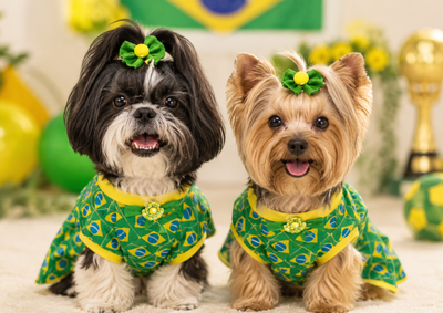 Com banho, carinho e secagem adequada, o Sofistic&atilde;o ajuda tutores de Atibaia a deixarem c&atilde;es e gatos limpos e cheirosos para curtir a Copa