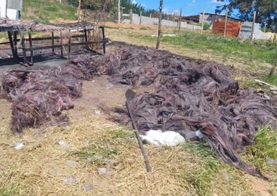 Parte do material estava queimado e com o cobre exposto; caso ser&aacute; investigado
