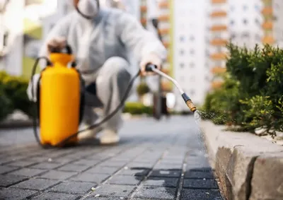 Servi&ccedil;os ser&atilde;o realizados entre outubro e novembro, das 7h &agrave;s 13h; moradores devem consultar as datas antes de procurar atendimento