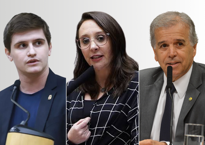 Levantamento com os resultados do munic&iacute;pio mostra a presen&ccedil;a de candidatos eleitos e n&atilde;o eleitos entre os nomes mais votados localmente