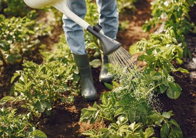 Evento reunir&aacute; agricultores familiares e entidades locais para debater pol&iacute;ticas p&uacute;blicas, sustentabilidade e o futuro do campo.