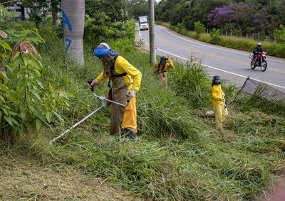 Moradores podem registrar pedidos de servi&ccedil;os urbanos sem sair de casa, diretamente pelo celular.