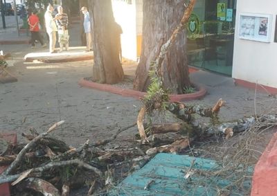 Interdi&ccedil;&atilde;o come&ccedil;a &agrave;s 7h30 para garantir a seguran&ccedil;a durante os trabalhos realizados pela Prefeitura de Barbacena.
