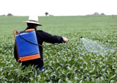 Capacita&ccedil;&atilde;o ser&aacute; destinada a trabalhadores da agricultura familiar e contar&aacute; com 15 vagas dispon&iacute;veis.
