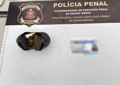 Subst&acirc;ncia foi identificada durante procedimento de revista com esc&acirc;ner corporal. Ocorr&ecirc;ncia foi encaminhada ao Plant&atilde;o Policial para provid&ecirc;ncias legais.