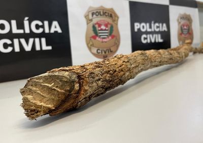Segundo a corpora&ccedil;&atilde;o, exames periciais confirmaram que se tratava de morte violenta. 