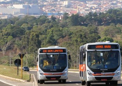 Confira! 