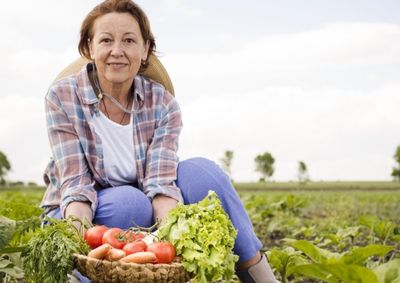 Speed Agro &eacute; gratuito, tem inscri&ccedil;&otilde;es abertas at&eacute; 24 de setembro e oferece rodadas de neg&oacute;cios e visitas t&eacute;cnicas