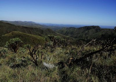 Unidade de conserva&ccedil;&atilde;o que abrange Brumadinho abriga mirantes e trilhas em meio &agrave; natureza