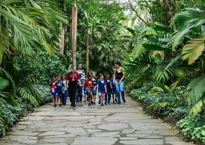 Visitantes poder&atilde;o aproveitar o Domingo Gratuito Cemig e participar do Ateli&ecirc; Circulante