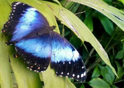 Institui&ccedil;&atilde;o mant&eacute;m extensa &aacute;rea de vegeta&ccedil;&atilde;o nativa e refor&ccedil;a a&ccedil;&otilde;es voltadas &agrave; conserva&ccedil;&atilde;o da biodiversidade