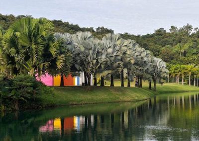 Nova rota cultural percorre cerca de 10 quil&ocirc;metros pelo museu em Brumadinho e re&uacute;ne trabalhos de importantes nomes da arte nacional