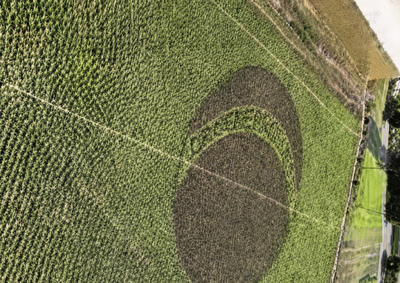 Desenho agr&iacute;cola feito com diferentes tipos de alface foi planejado por quase tr&ecirc;s d&eacute;cadas