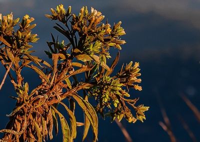 Diversidade de paisagens reflete varia&ccedil;&otilde;es de altitude, relevo e solo no munic&iacute;pio