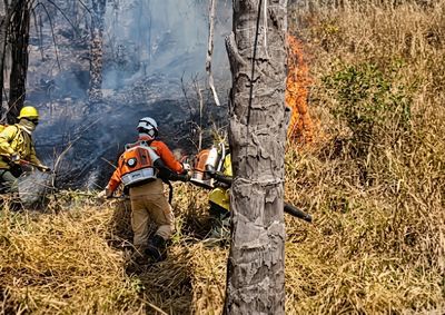 Combate &agrave;s chamas reuniu bombeiros, Defesa Civil, brigadistas volunt&aacute;rios e &oacute;rg&atilde;os municipais