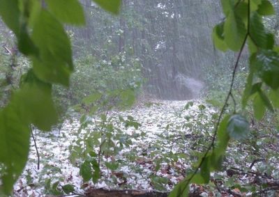 Aviso do Inmet prev&ecirc; possibilidade de chuva forte e ventos de at&eacute; 60 km/h ao longo do dia