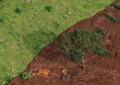 Conv&ecirc;nio prev&ecirc; acompanhamento de &aacute;reas afetadas por rejeitos e realiza&ccedil;&atilde;o de experimentos voltados &agrave; recupera&ccedil;&atilde;o ambiental