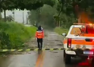Rajadas de vento derrubaram &aacute;rvores em Aranha e em outros pontos do munic&iacute;pio