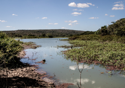 Mineradora contesta entendimento que estabeleceu prescri&ccedil;&atilde;o de cinco anos para pessoas atingidas pelo rompimento da barragem em Brumadinho