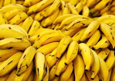 Iniciativa &eacute; da Secretaria de Estado da Agricultura