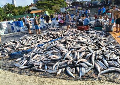 Projeto apresentado por Hermes Klann busca revogar portaria que suspendeu o arrasto de praia ap&oacute;s atingimento da cota