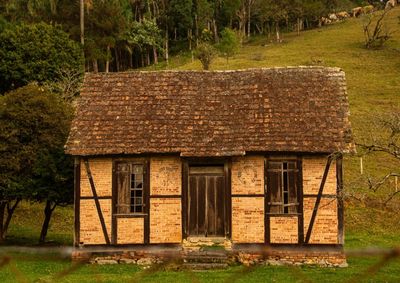 Estudo identificou que o idioma ainda &eacute; s&iacute;mbolo de identidade cultural, mas seu uso diminui entre filhos e netos dos falantes