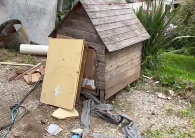 Animal foi encontrado em ambiente considerado inadequado durante a&ccedil;&atilde;o da Pol&iacute;cia Civil e da Pol&iacute;cia Militar