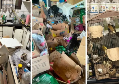 Ao todo, cinco c&atilde;es e 31 p&aacute;ssaros foram resgatados em uma resid&ecirc;ncia no bairro Progresso