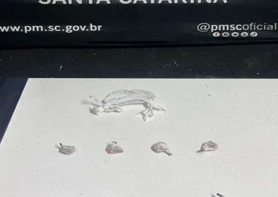 Ocorr&ecirc;ncias foram registradas na noite desta ter&ccedil;a-feira (7)