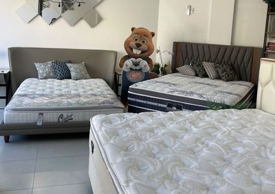 Promo&ccedil;&atilde;o re&uacute;ne conjuntos com molas ensacadas e ainda oferece entrega e montagem gratuitas para Brusque e Guabiruba