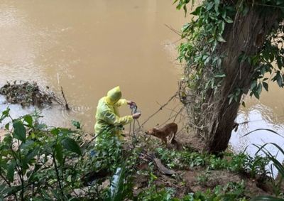 Animal foi retirado da &aacute;gua em seguran&ccedil;a e encaminhado para atendimento veterin&aacute;rio