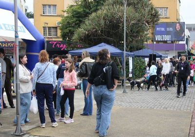 Evento reuniu servi&ccedil;os gratuitos, feira de artesanato, ado&ccedil;&atilde;o de animais e Pastelada Solid&aacute;ria