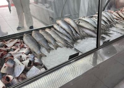 Fiscaliza&ccedil;&atilde;o encontrou alimentos vencidos, sem proced&ecirc;ncia comprovada e armazenados de forma irregular em quatro cidades do Litoral Norte