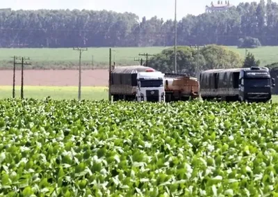 Al&eacute;m de Mato Grosso do Sul, tamb&eacute;m foram inclu&iacute;dos Mato Grosso, Maranh&atilde;o e Rio Grande do Norte