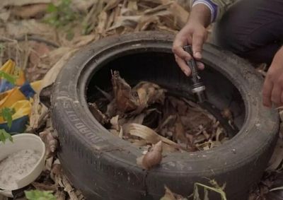 Entre os munic&iacute;pios de alto risco est&atilde;o Maracaju, Ponta Por&atilde;, Bela Vista e outros