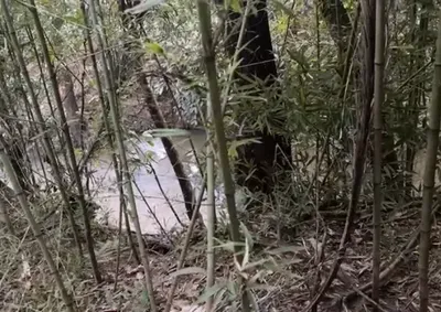 O corpo foi encontrado &agrave;s margens do C&oacute;rrego Alavanca, pr&oacute;ximo &agrave; BR-267