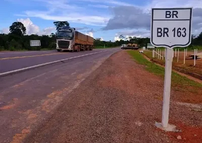 Valdeneis Fernandes Borges, de 47 anos, dirigia um caminh&atilde;o Mercedes-Benz quando o animal atravessou a rodovia